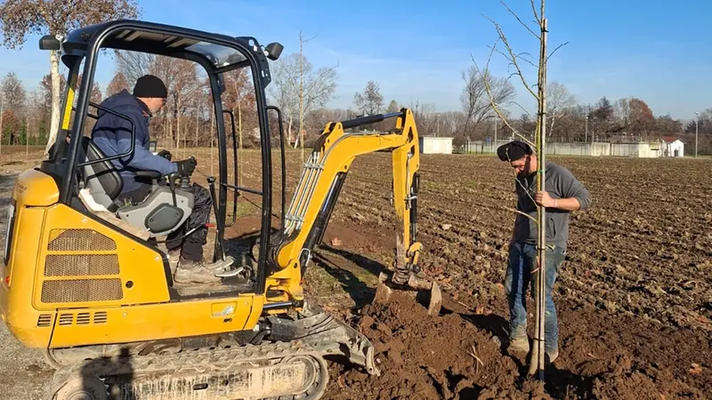 Nuovi alberi piantati - © www.giornaledibrescia.it