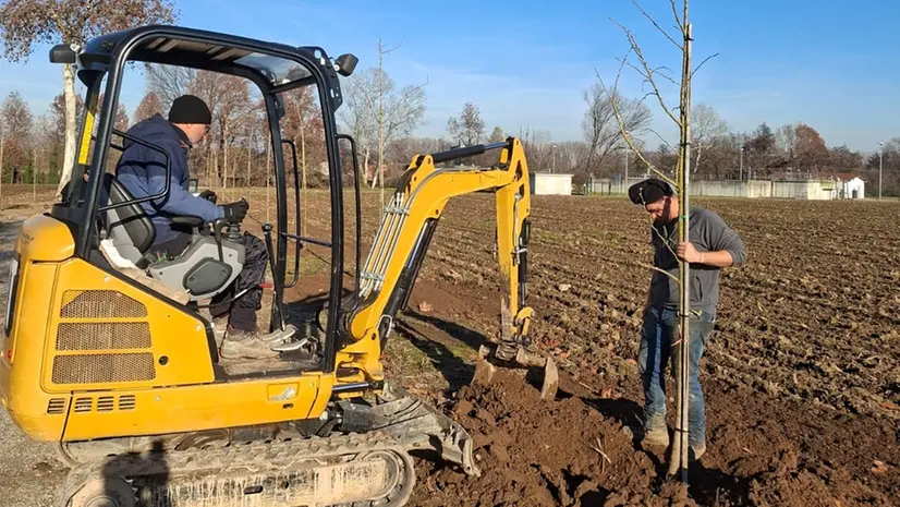 Nuovi alberi piantati - © www.giornaledibrescia.it