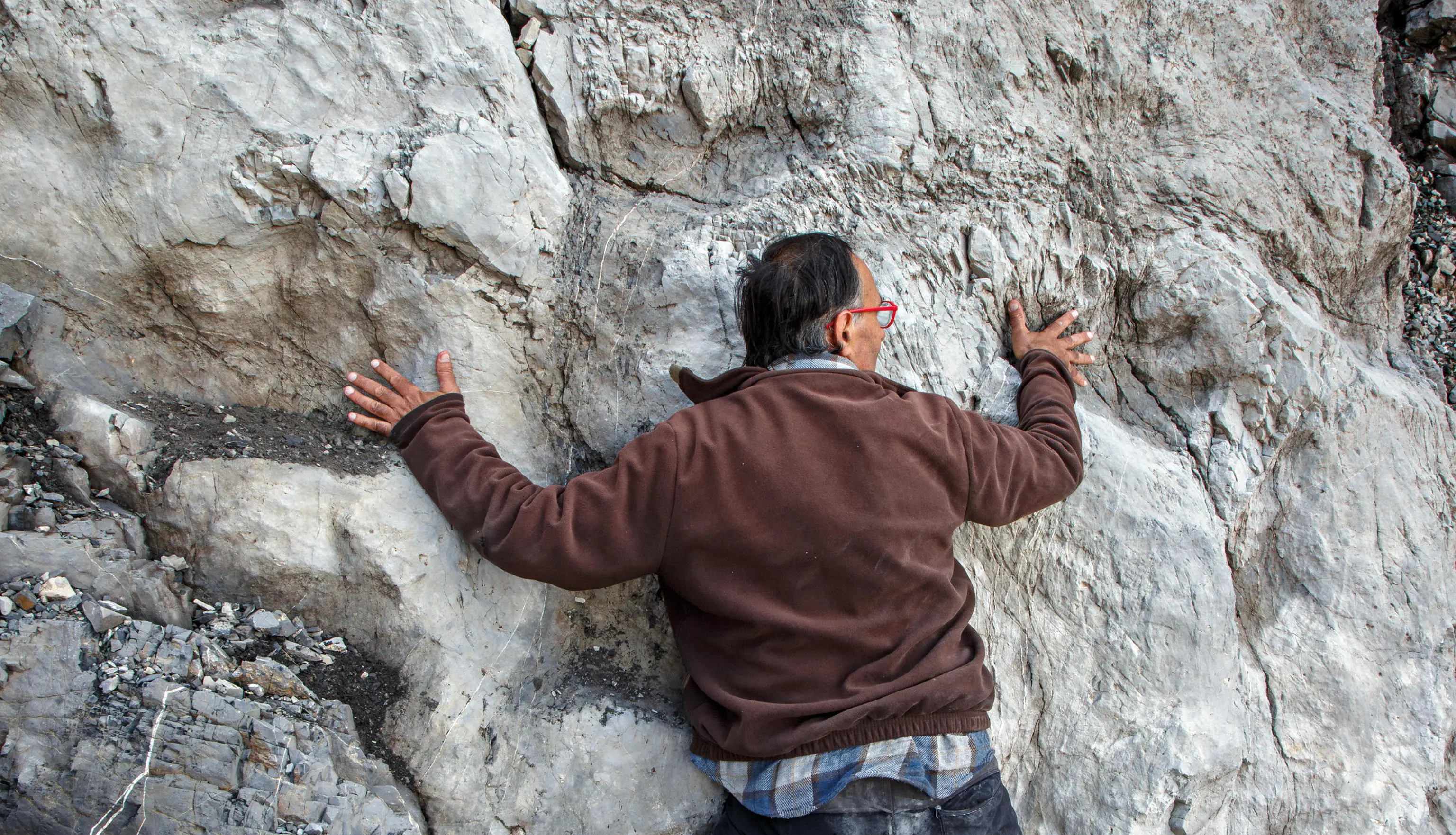 Orme di Prosauropodi risalenti al Triassico Superiore, fotografate nel nuovo sito paleontologico scoperto da Elio Della Ferrera. Valle di Fraele, Parco dello Stelvio, Valdidentro, Provincia di Sondrio, Lombardia, Italia.