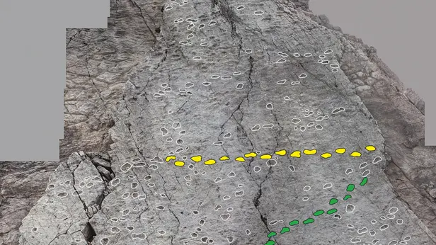 Orme di Prosauropodi risalenti al Triassico Superiore, fotografate nel nuovo sito paleontologico scoperto da Elio Della Ferrera. Valle di Fraele, Parco dello Stelvio, Valdidentro, Provincia di Sondrio, Lombardia, Italia.