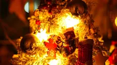 Un albero di Natale - © www.giornaledibrescia.it