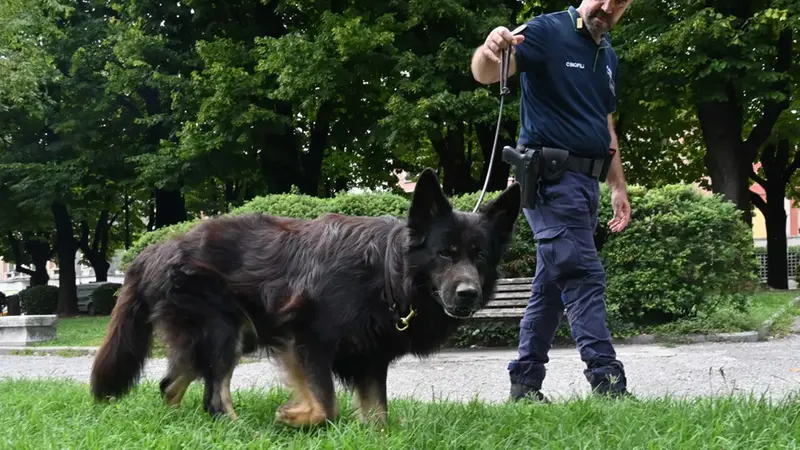 Il cane Thor - © www.giornaledibrescia.it