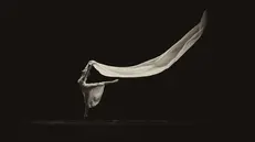 La danza protagonista del weekend tra teatri e performance itineranti - © www.giornaledibrescia.it