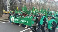 Confartigianato Brescia alla protesta degli agricoltori a Bruxelles