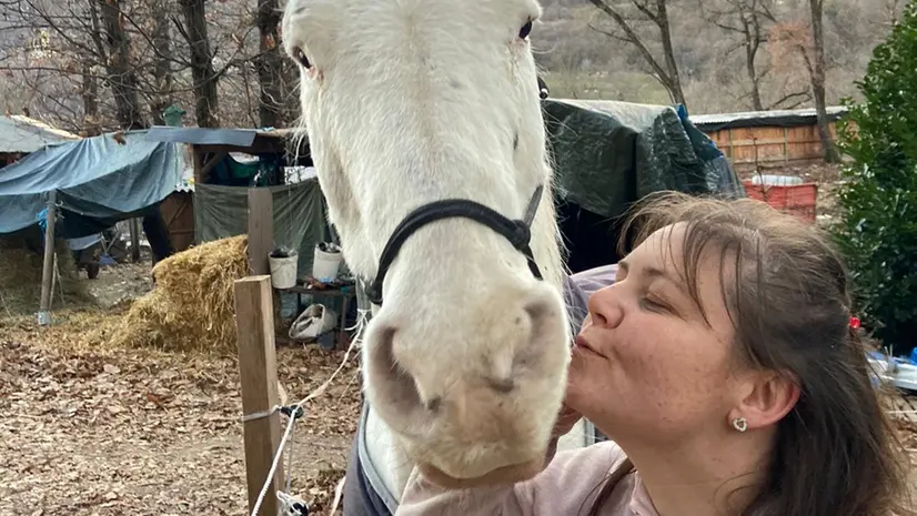 Uno dei cavalli salvati con Melissa