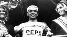 Michele Dancelli: una vita in bicicletta, alcune immagini dalla sua carriera