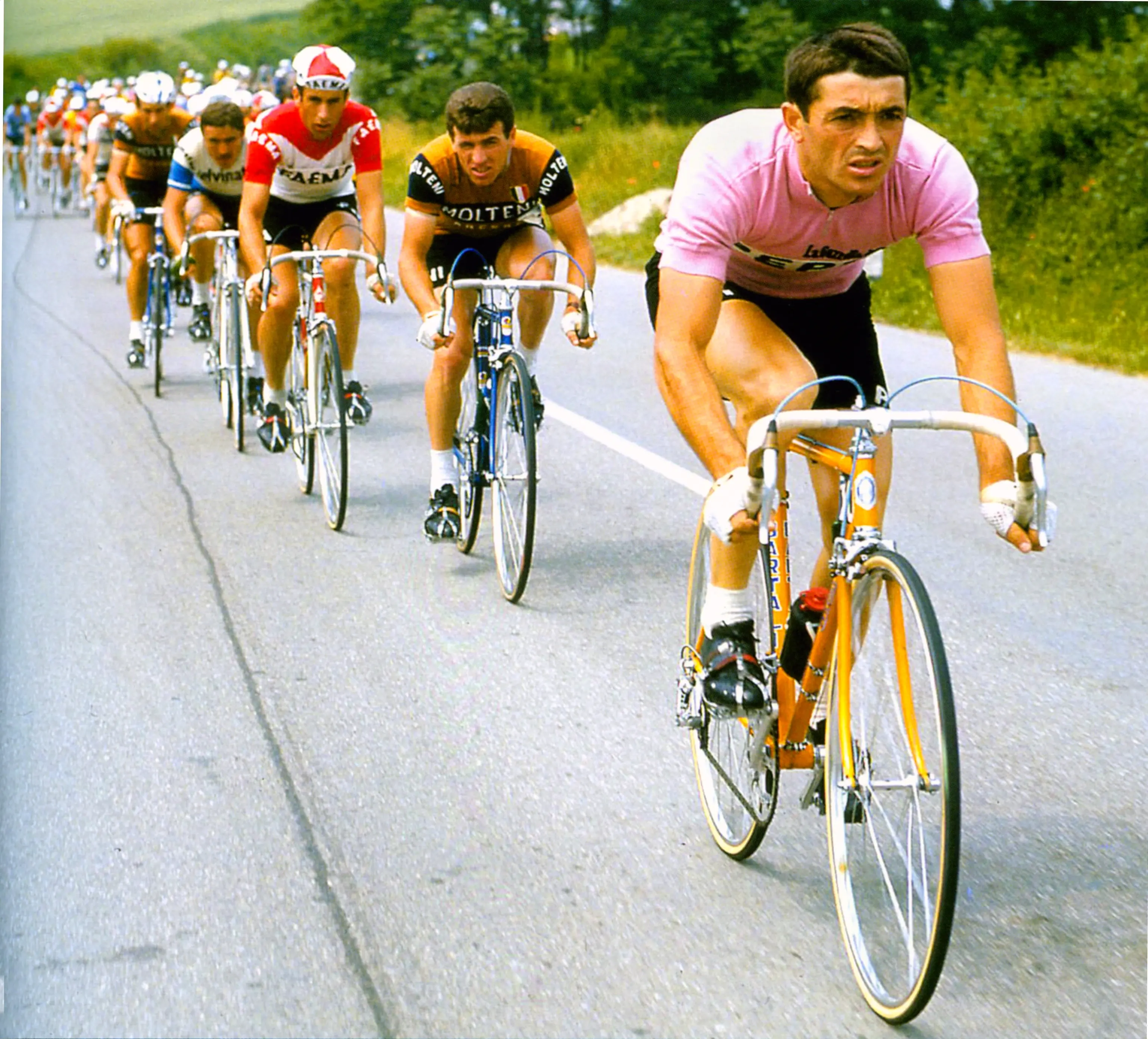 Michele Dancelli: una vita in bicicletta, alcune immagini dalla sua carriera