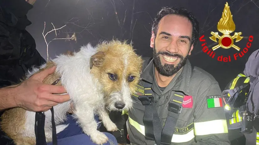 L'operatore e il cane recuperato - Foto fornita dai Vigili del fuoco