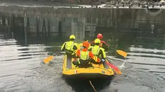 I Vigili del fuoco nel fiume Oglio per recuperare il corpo - © www.giornaledibrescia.it