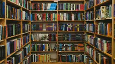 Scaffali in una biblioteca