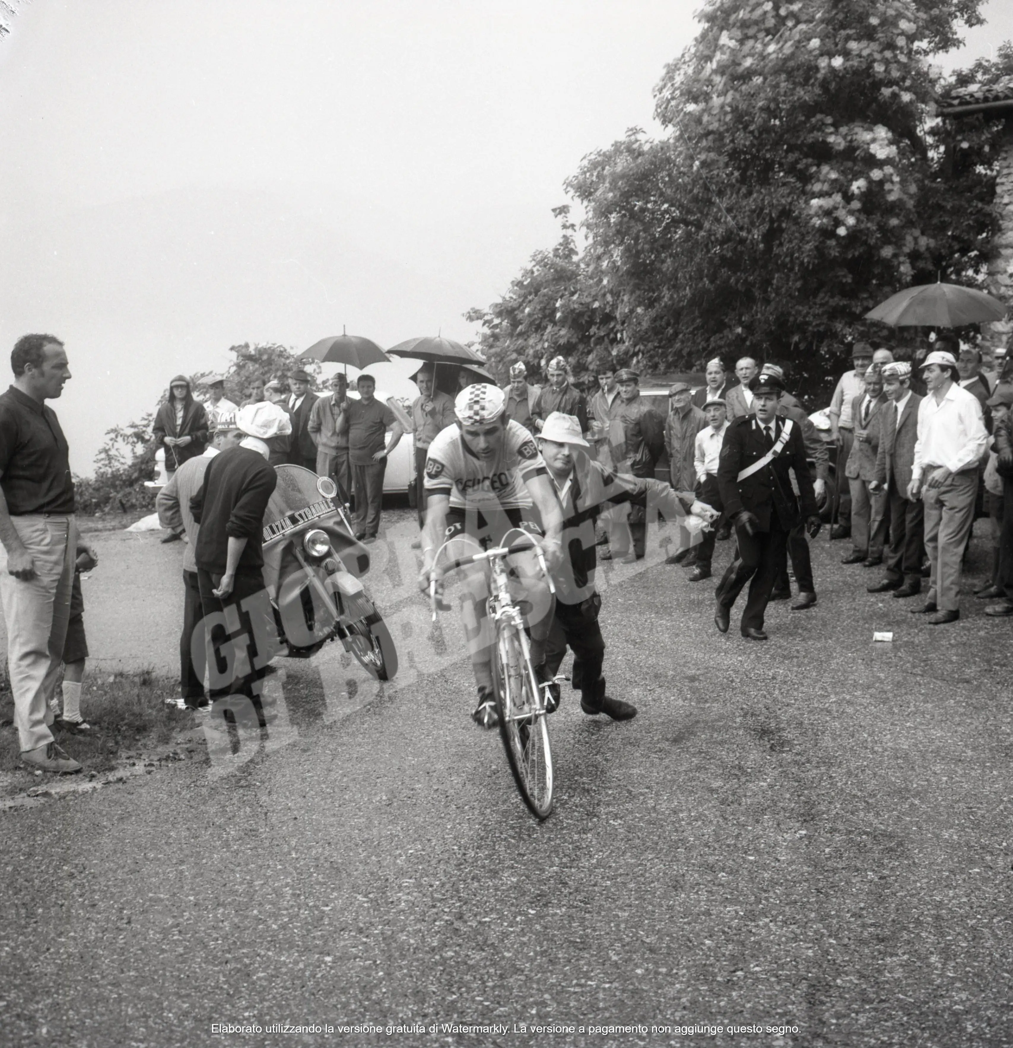 L'arrivo in maglia rosa di Dancelli al Rigamonti durante il giro d'Italia 1968