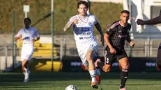 Andrea Cisco durante il match contro la Dolomiti Bellunesi - Foto New Reporter Nicoli © www.giornaledibrescia.it