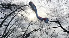 CRONACA BRESCIA MADDALENA PARAPENDIO CADUTO REDAZIONE CRONACA 20-12-2025 GABRIELE STRADA NEW EDEN GROUP