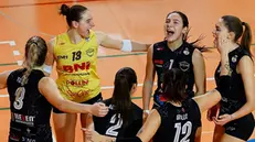 L'esultanza del Collebeato - © www.giornaledibrescia.it