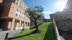 I locali saranno realizzati a piano terra - Marco Ortogni/Neg © www.giornaledibrescia.it