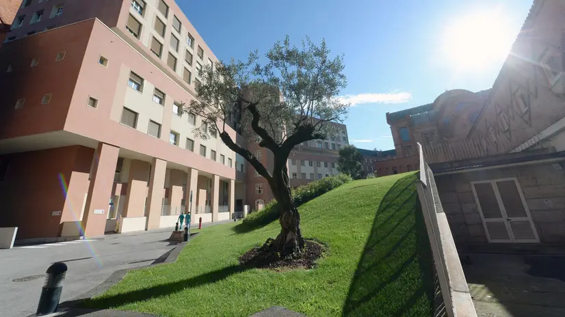 I locali saranno realizzati a piano terra - Marco Ortogni/Neg © www.giornaledibrescia.it