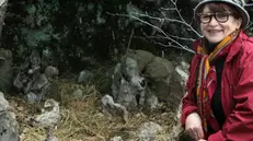 Il sorriso di Marina Corallini - © www.giornaledibrescia.it