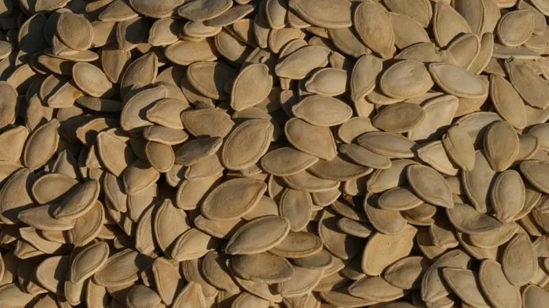 I semi di zucca sono «amici» del buonumore