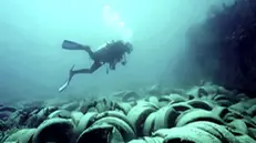 Un subacqueo monitora i cumuli sul fondo del lago