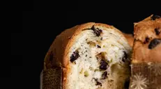 Un panettone artigianale