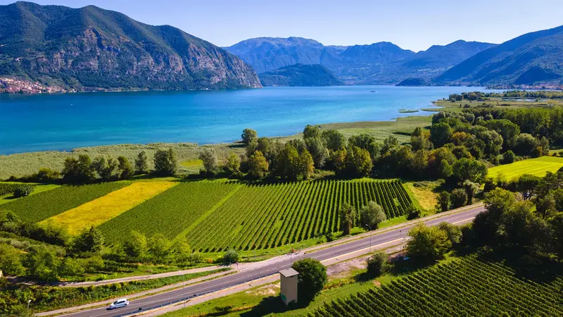 I vigneti del Franciacorta sul lago d'Iseo