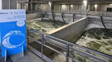 Il depuratore della Valtrompia - © www.giornaledibrescia.it