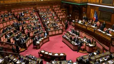In Senato - Ansa © www.giornaledibrescia.it