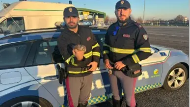 Gli agenti con il gheppio salvato - © www.giornaledibrescia.it