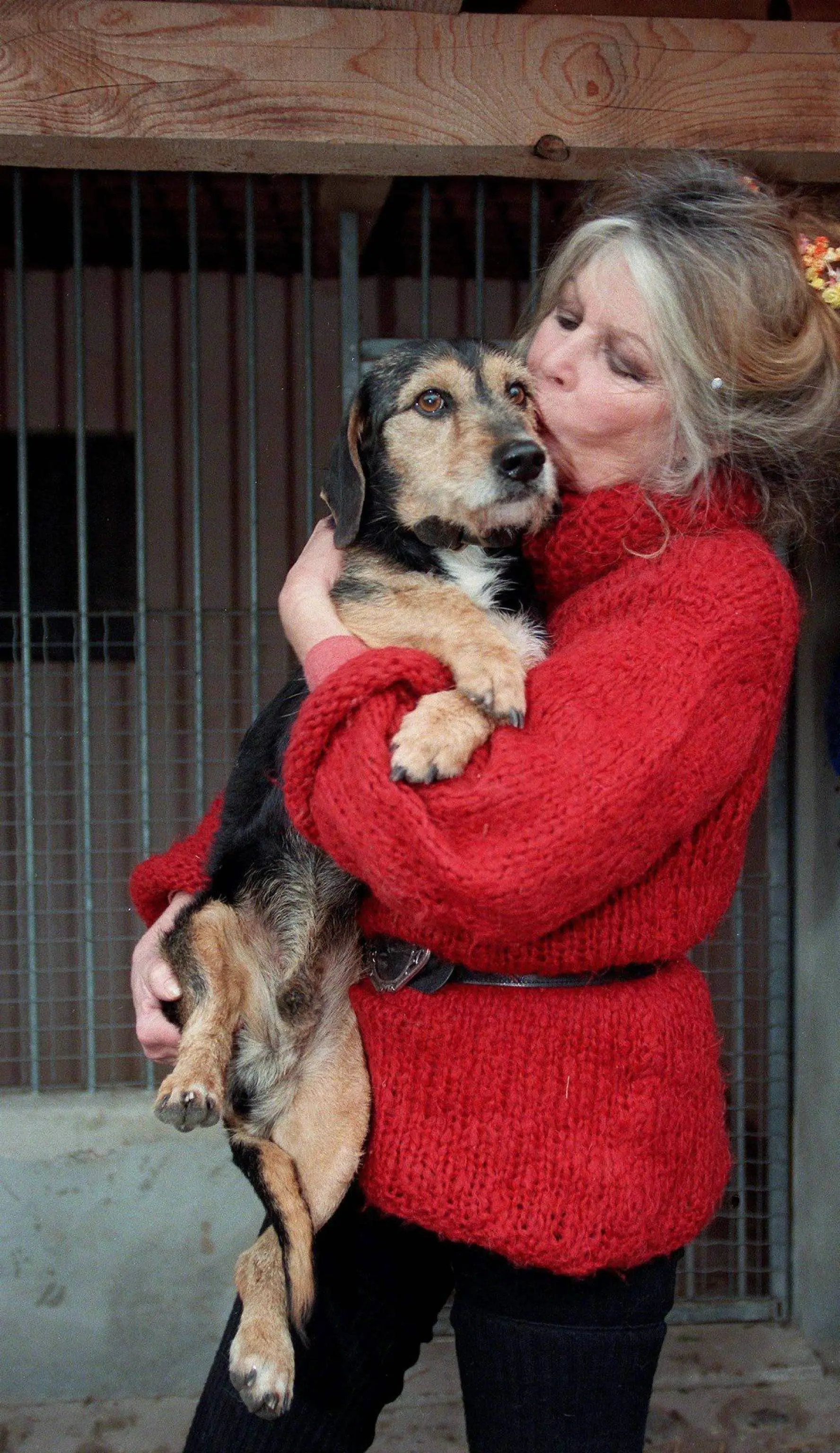 La bellezza senza tempo di Brigitte Bardot