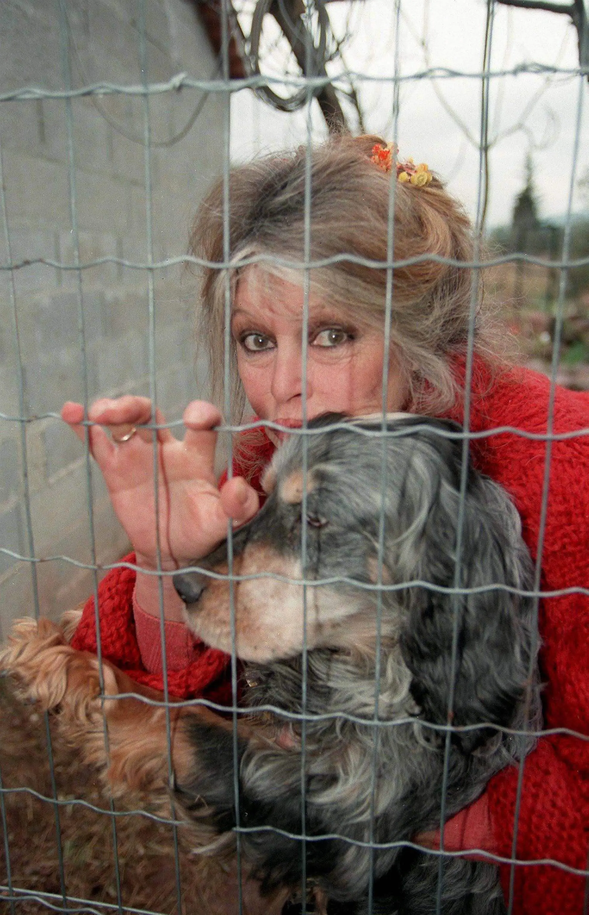 La bellezza senza tempo di Brigitte Bardot