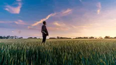 Una persona che scruta il cielo