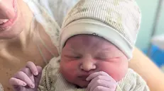 La prima nata del 2026 a Manerbio, Viola