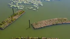 Isole galleggianti alle Torbiere - © www.giornaledibrescia.it