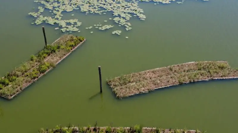Isole galleggianti alle Torbiere - © www.giornaledibrescia.it