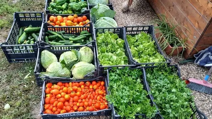 Una parte del raccolto