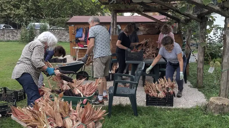 I volontari del Brolo di Sant'Anna al lavoro