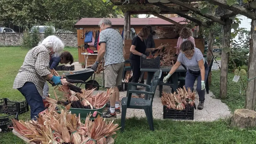 I volontari del Brolo di Sant'Anna al lavoro