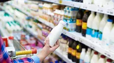 Domani al via. In tutti i negozi è obbligatoria l’etichettatura d’origine del latte per yogurt e formaggi
