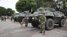 L'esercito colombiano di guardia sul ponte Simon Bolivar - Foto Ansa © www.giornaledibrescia.it