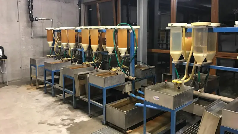 L’incubatoio ittico di Clusane d’Iseo con le uova di coregone