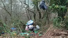 Rifiuti abbandonati tra i rami e gli arbusti nella valle dell'Opolo - © www.giornaledibrescia.it