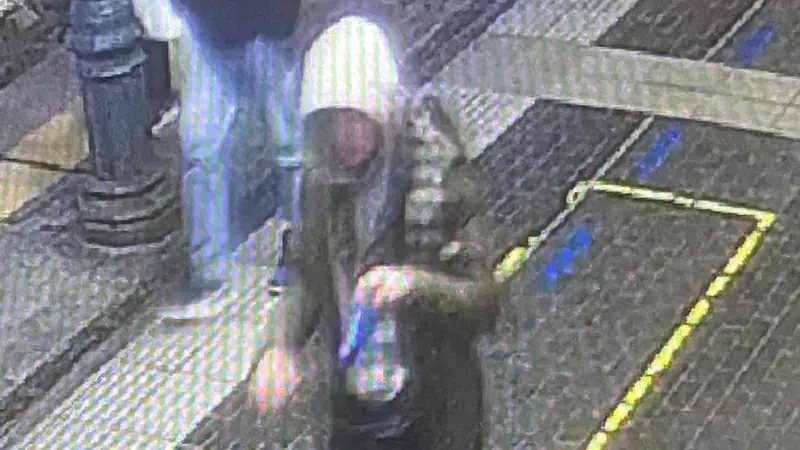 Marin Jelenic ripreso da una videocamera - Foto Ansa © www.giornaledibrescia.it