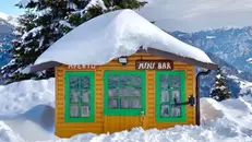 Il minibar al Maniva, foto www.accidentalywesanderson.com, Fabio Ardito