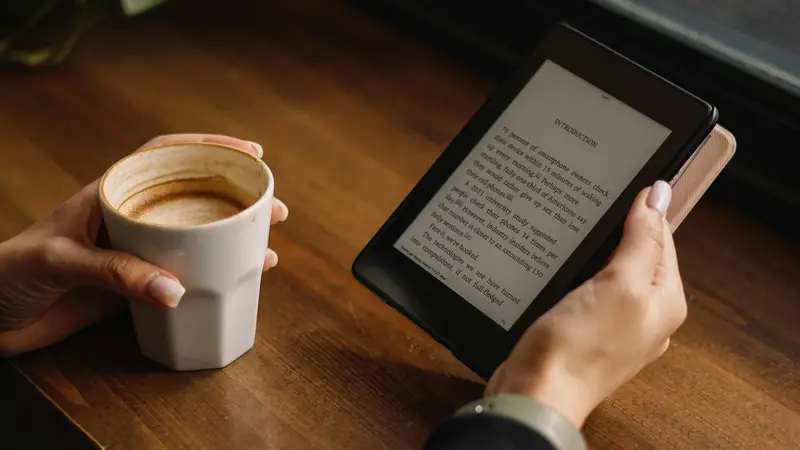 Gli ebook possono essere presi in prestito dalla biblioteca