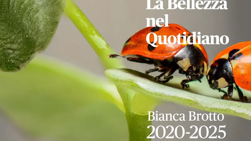 Il libro «La Bellezza nel Quotidiano»