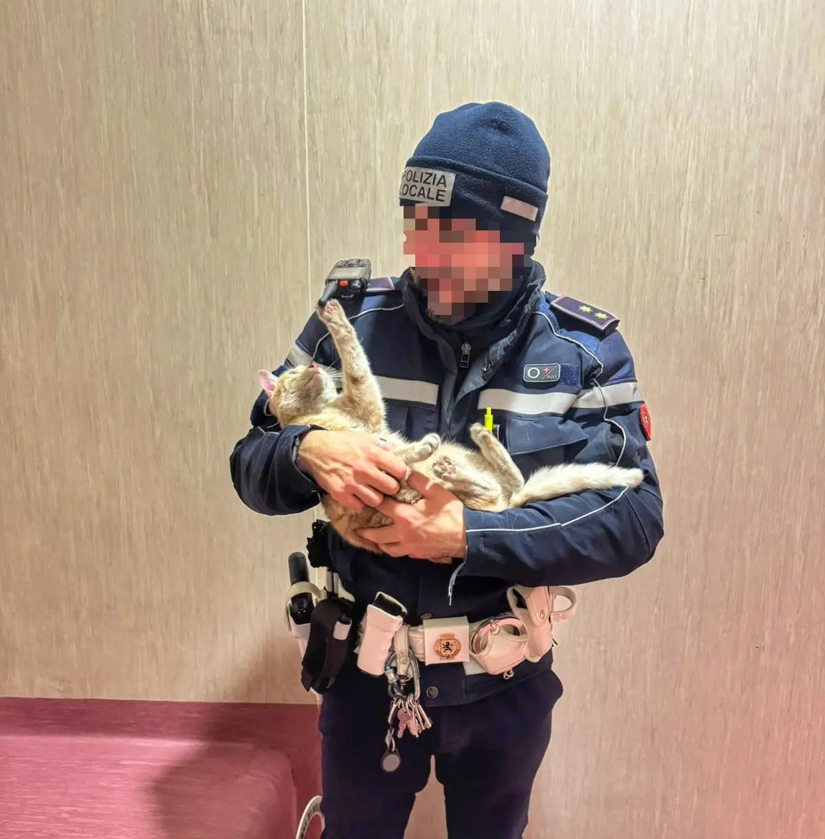 La gattina liberata in Carmine