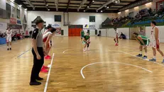 In foto: Orlandi (23 punti) - © www.giornaledibrescia.it