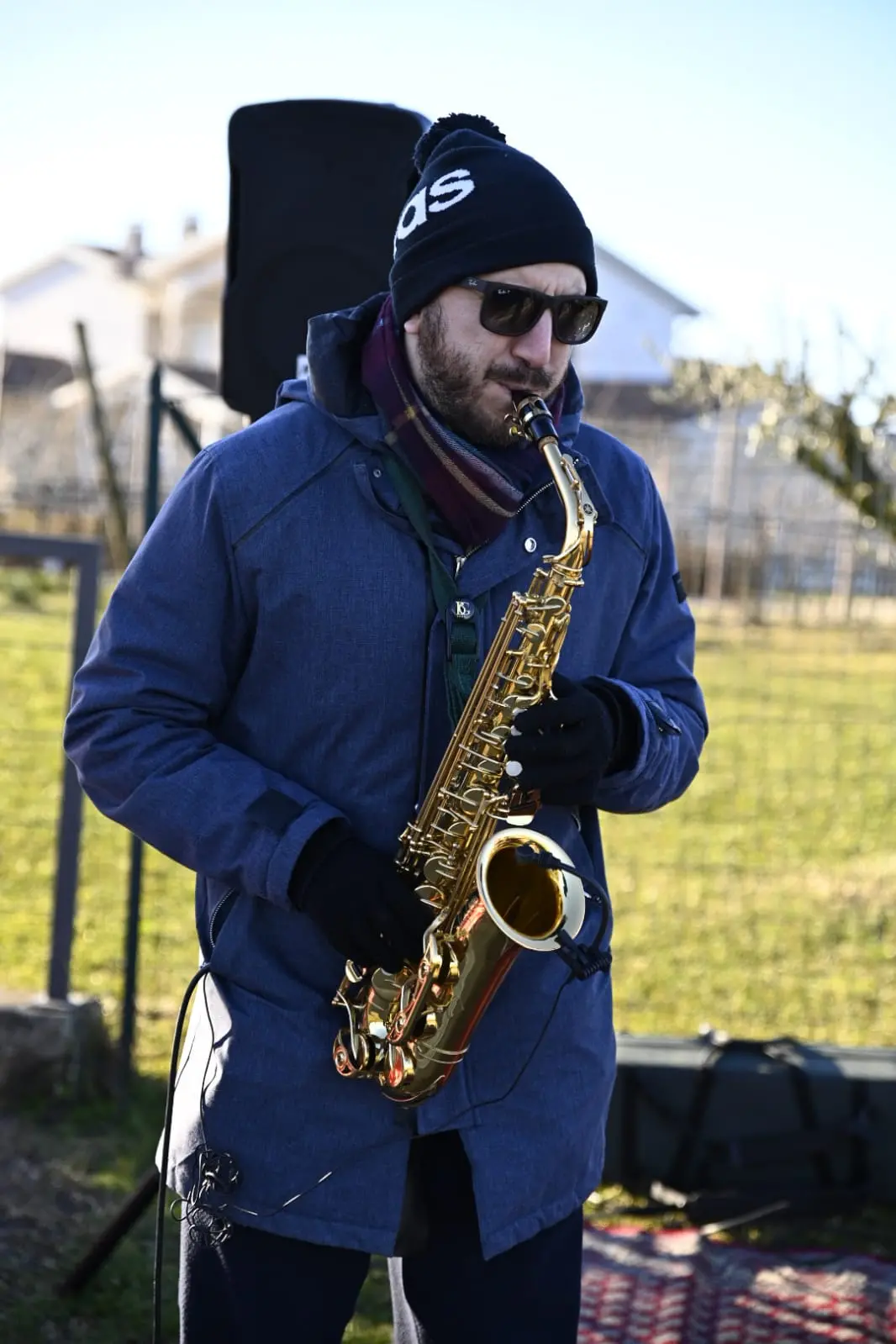 La Stragardalake a Desenzano