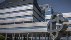 Il simbolo delle banche di credito cooperativo - Foto Ansa © www.giornaledibrescia.it