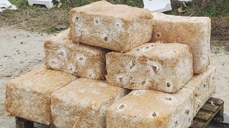 La trasformazione degli scarti in mattoni - © www.giornaledibrescia.it